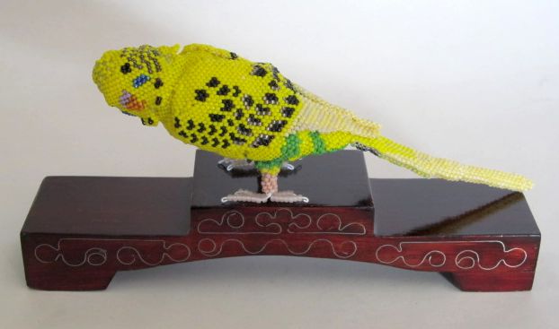 Yellow Parakeet Jesse 1